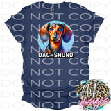 DACHSHUND