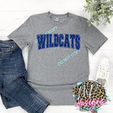 WILDCATS VARSITY DISTRESSED