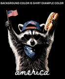 AMERICA RACCOON