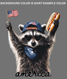 AMERICA RACCOON