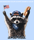 AMERICA RACCOON