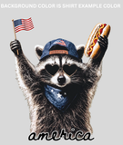 AMERICA RACCOON