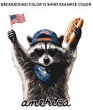 AMERICA RACCOON