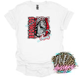 BRONCOS LOGO CHEER