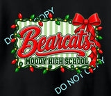 FESTIVE BEARCATS