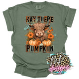 HAY THERE PUMPKIN