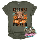 HAY THERE PUMPKIN