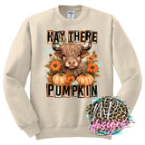 HAY THERE PUMPKIN