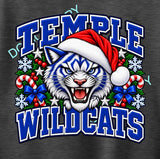 WILDCATS HOLIDAY GARLAND