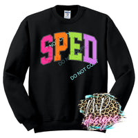 SPED 2025
