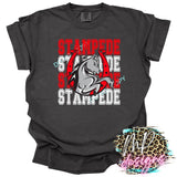 STAMPEDE STACKED BRONCOS LOGO