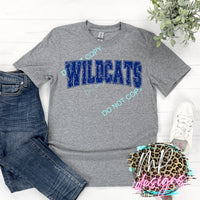 WILDCATS VARSITY DISTRESSED