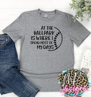 AT THE BALLPARK T-SHIRT