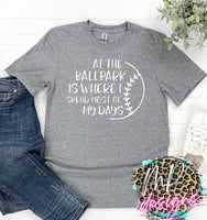 AT THE BALLPARK T-SHIRT